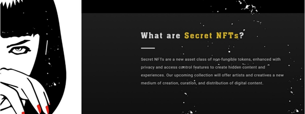 What are secret NFTs